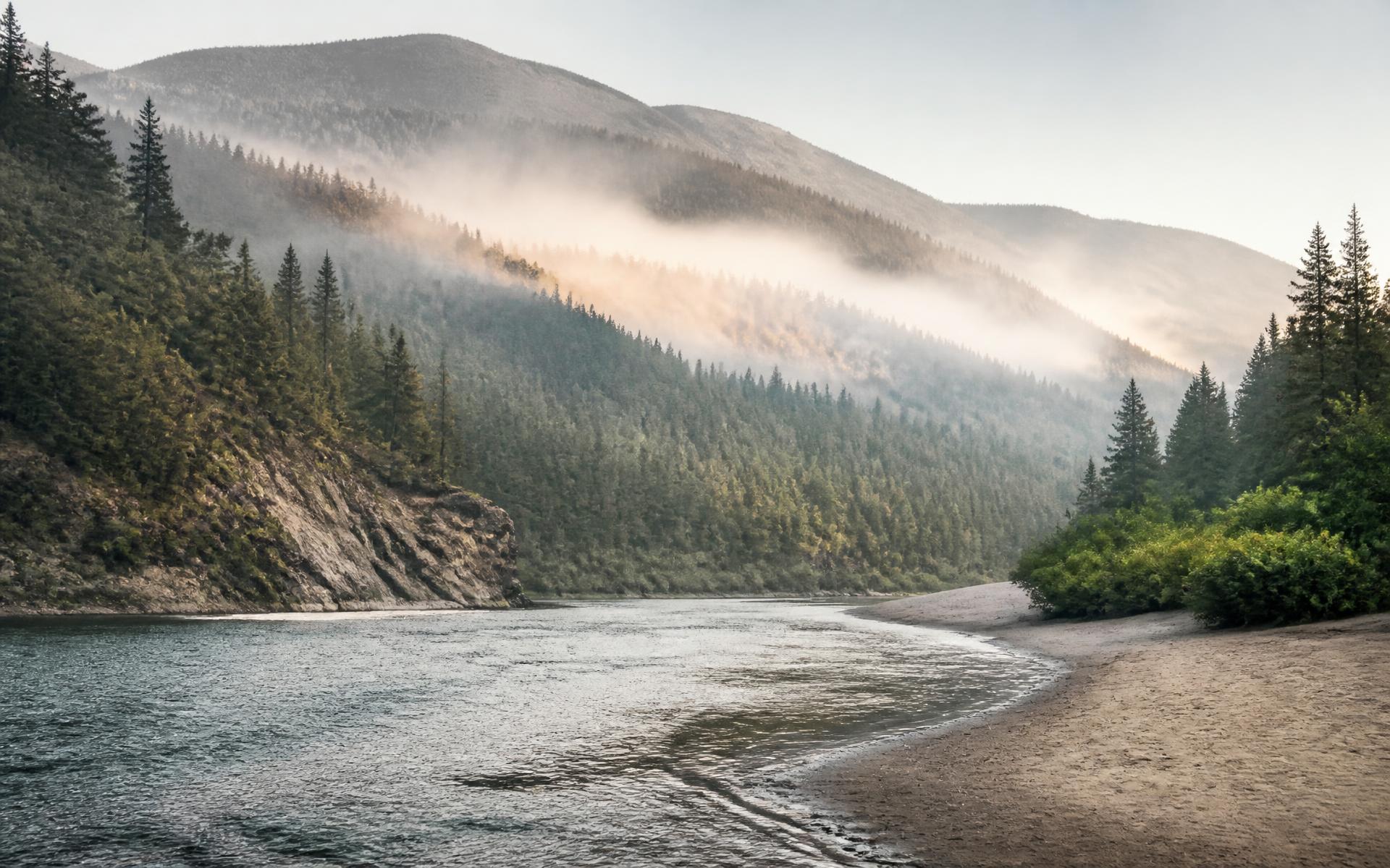 A river winding through misty forested mountains at first light